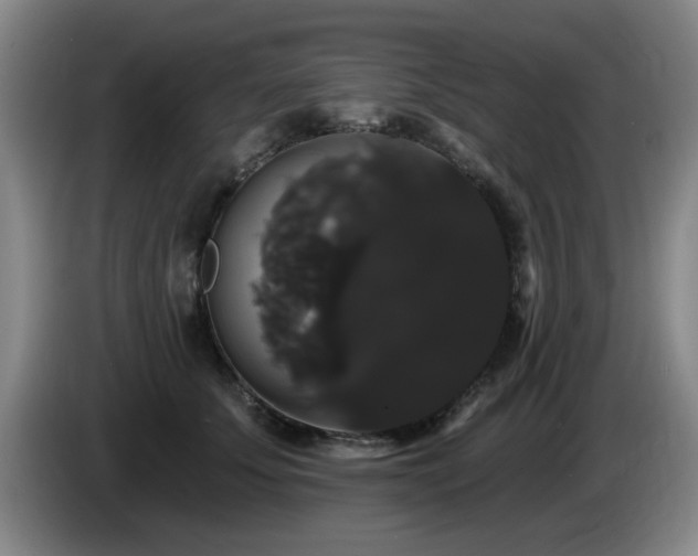 X0000085220707200703091200
