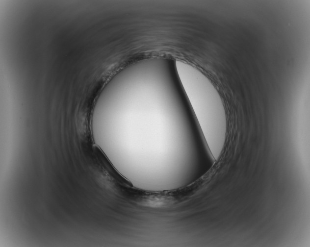 X0000085220708200703091200