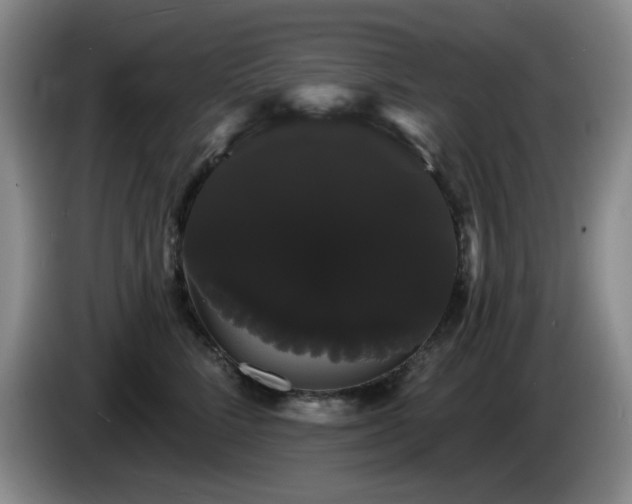 X0000085220712200703091200