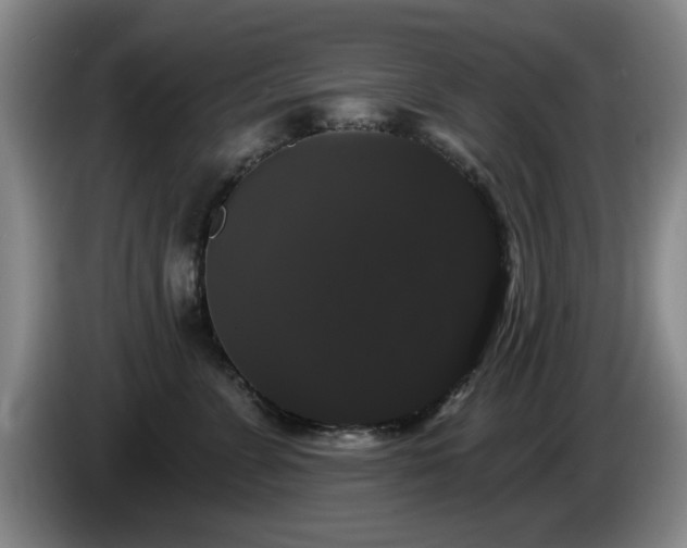 X0000085220715200703091200