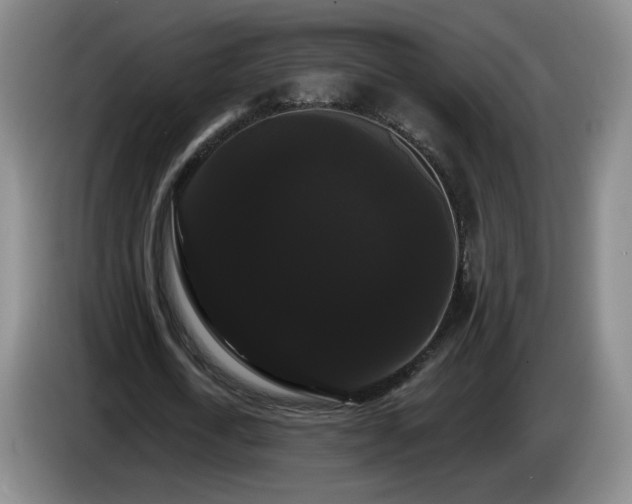 X0000085220722200703091159