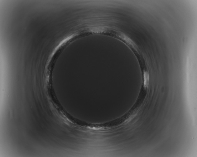 X0000085220723200703091159