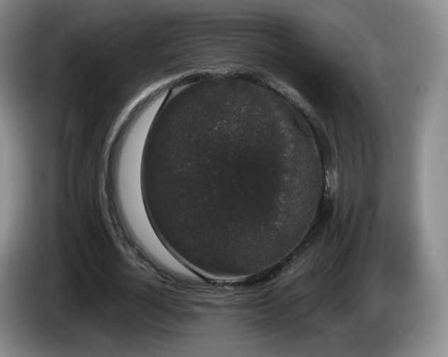 X0000085220724200703091159