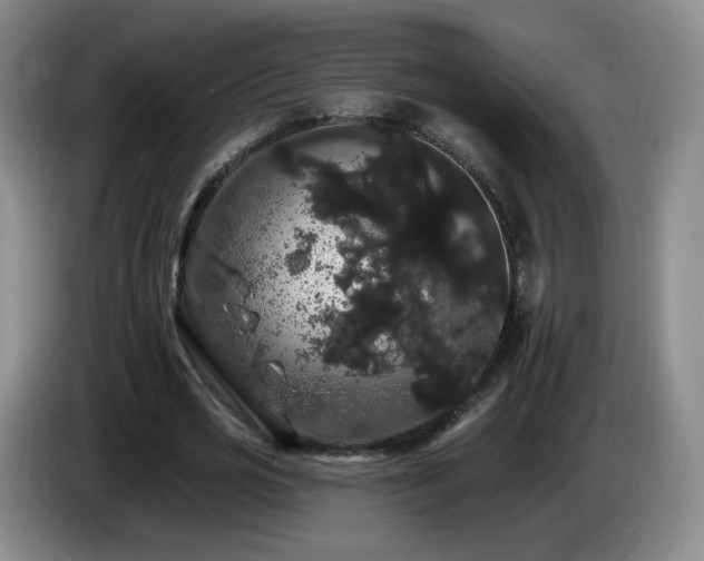 X0000085220725200703091159