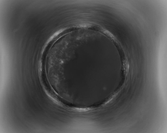 X0000085220726200703091159