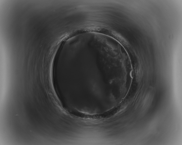 X0000085220729200703091159