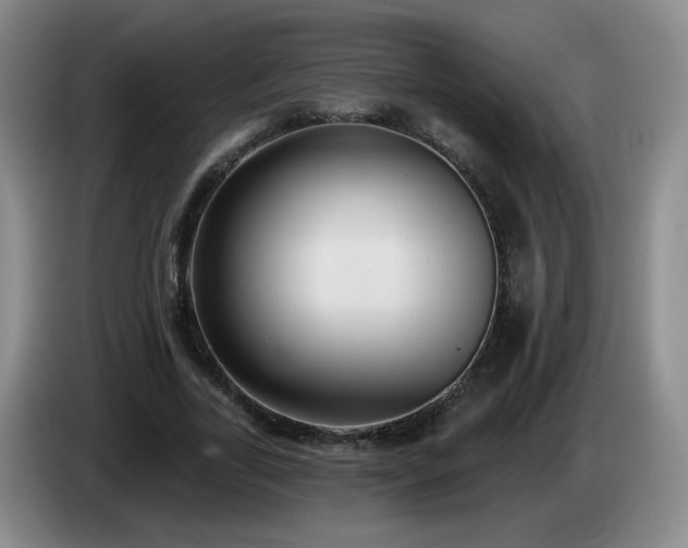 X0000085220731200703091159
