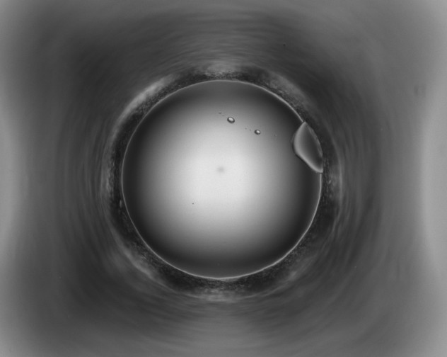 X0000085220732200703091159