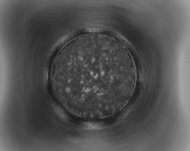 X0000085220733200703091159