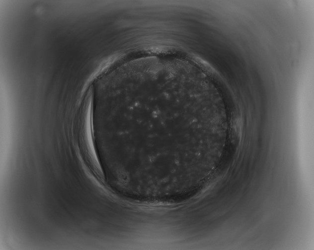 X0000085220734200703091159