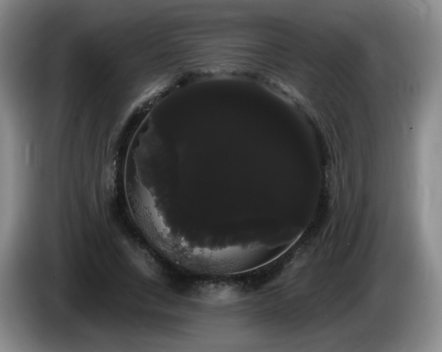 X0000085220735200703091159