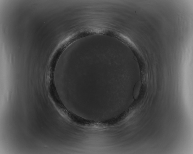 X0000085220736200703091159