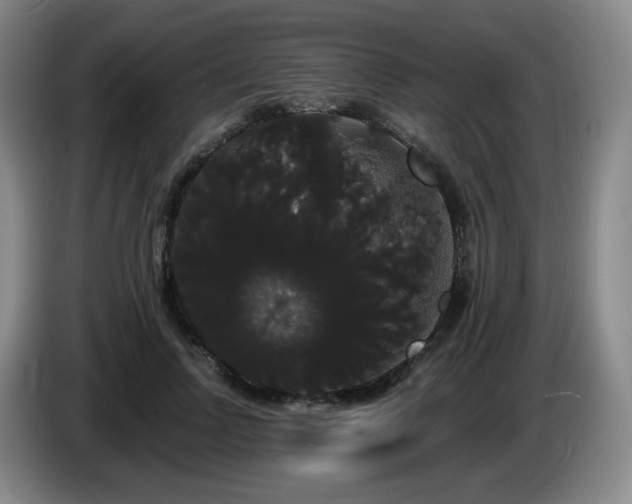 X0000085220742200703091159