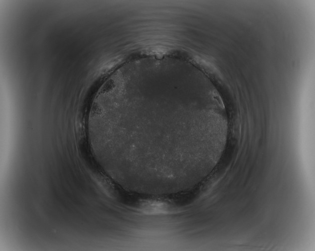 X0000085220743200703091159