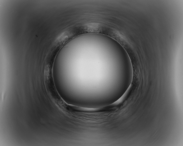 X0000085220744200703091159