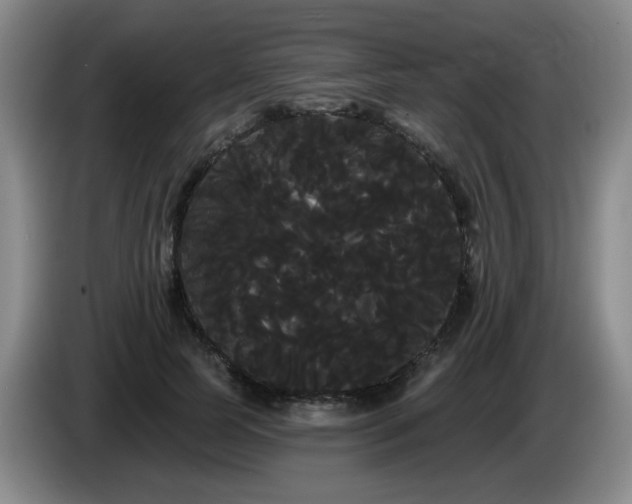 X0000085220745200703091159