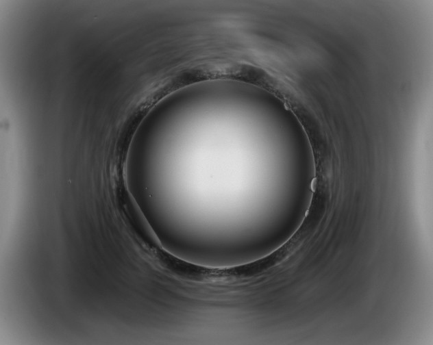 X0000085220746200703091159