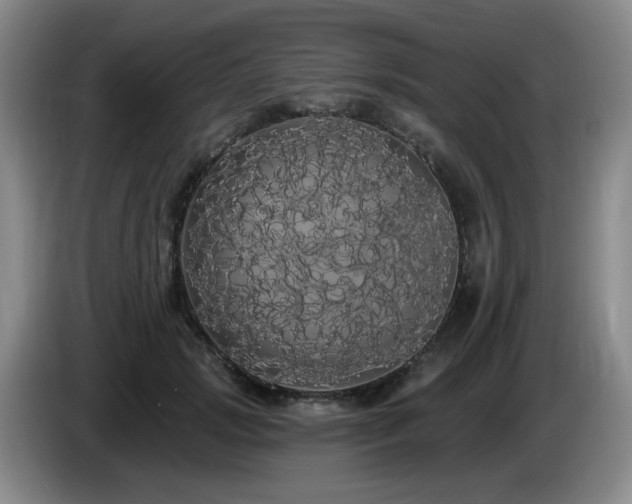 X0000085220749200703091159