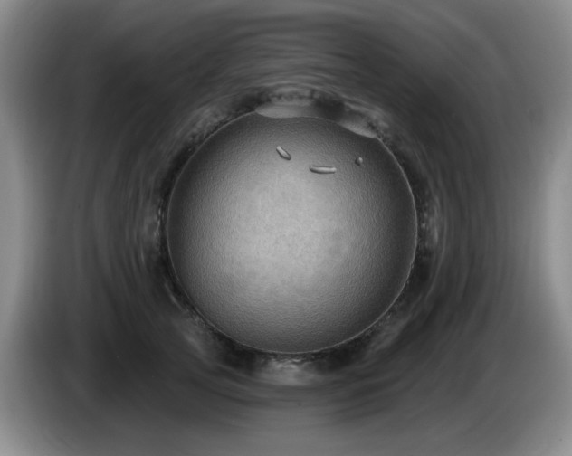 X0000085220753200703091159