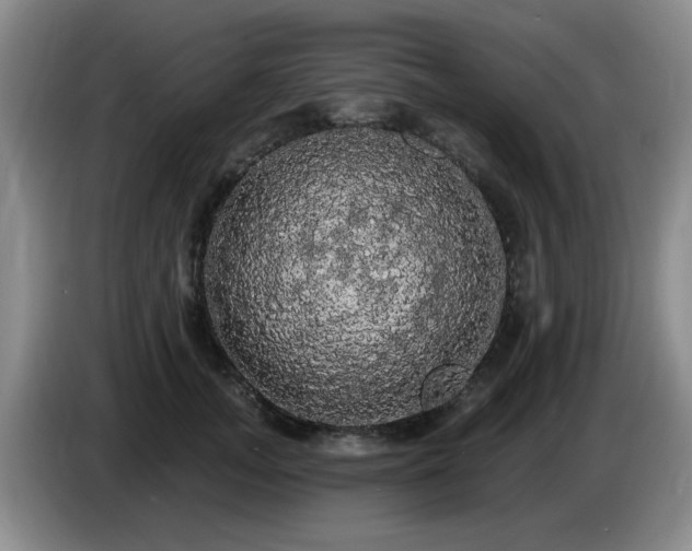 X0000085220755200703091159
