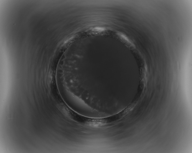 X0000085220758200703091159
