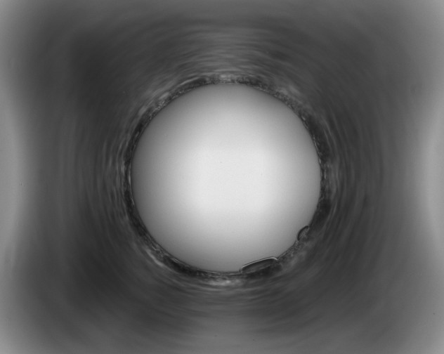 X0000085220760200703091159