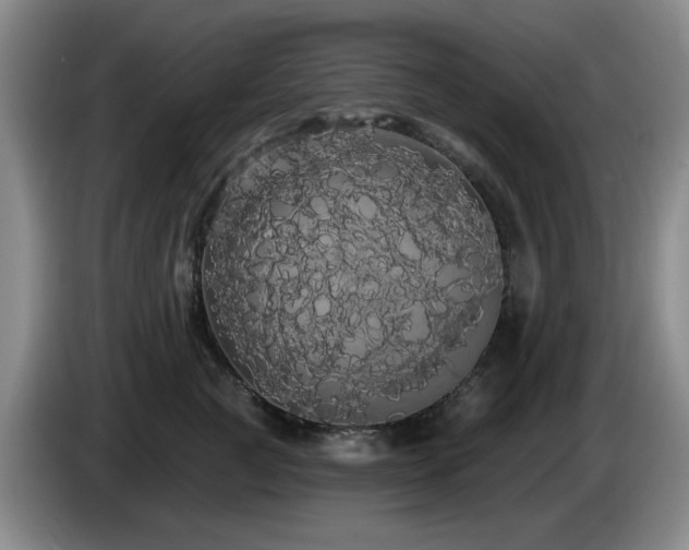 X0000085220761200703091159