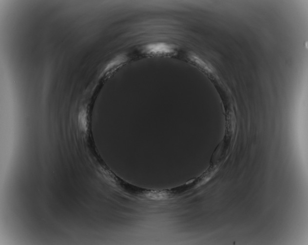X0000085220762200703091159