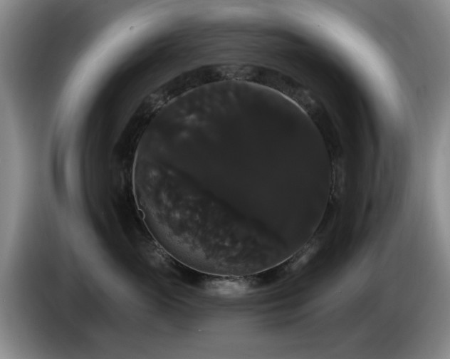 X0000085220765200703091200