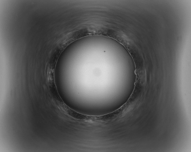 X0000085220770200703091159