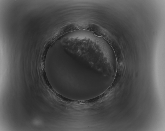 X0000085220772200703091159