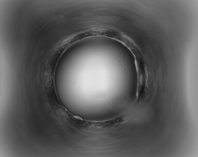 X0000085220773200703091159