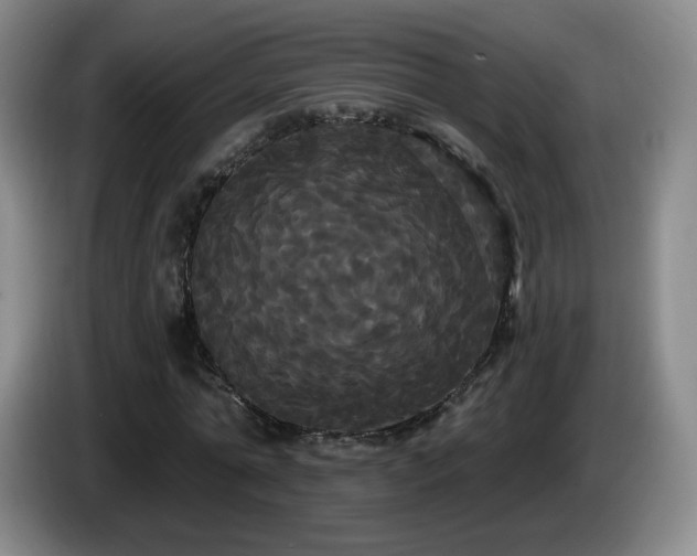 X0000085220774200703091159