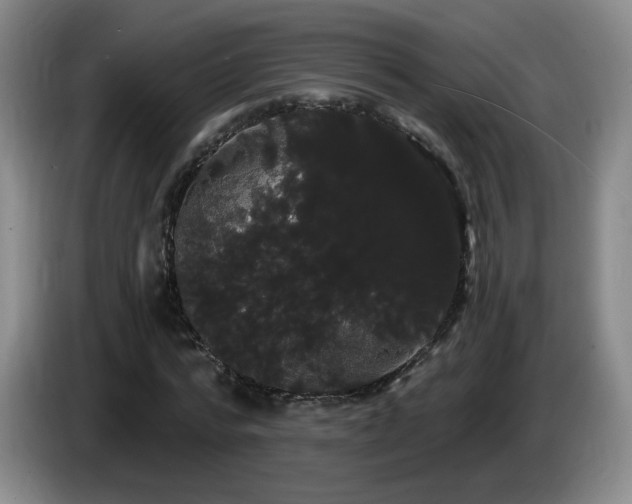 X0000085220776200703091159