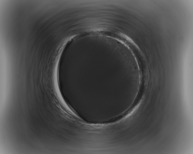 X0000085220777200703091159