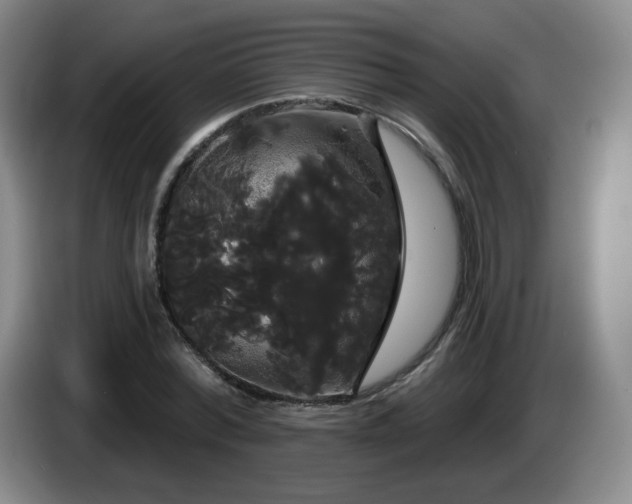X0000085220780200703091159