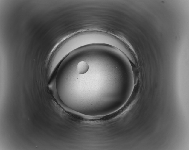 X0000085220781200703091159