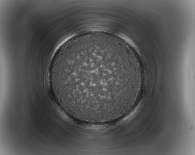 X0000085220782200703091159