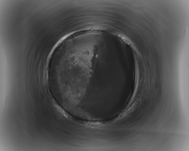 X0000085220784200703091159