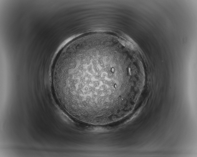 X0000085220787200703091159