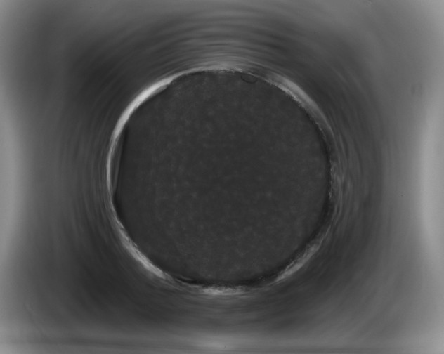 X0000085220788200703091158
