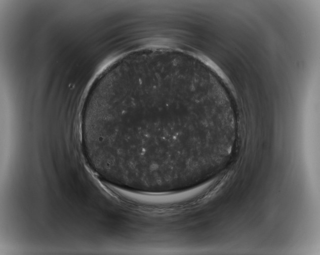 X0000085220791200703091158