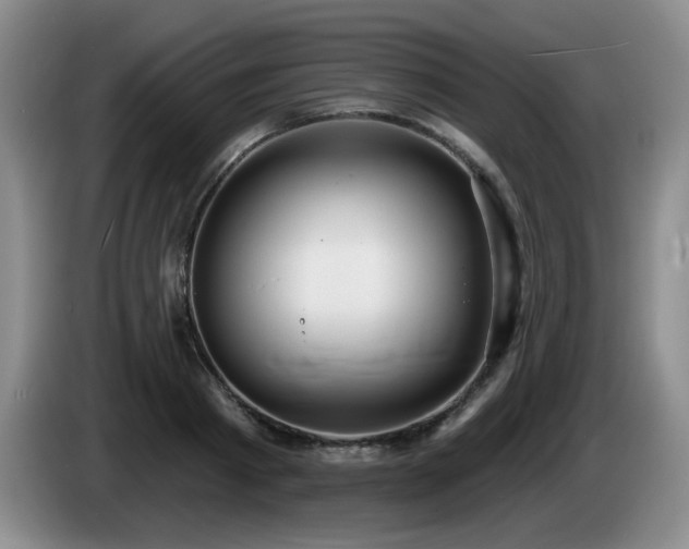 X0000085220793200703091158