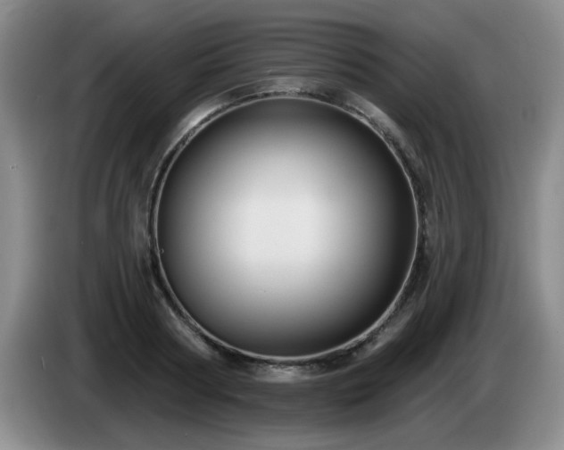 X0000085220794200703091158