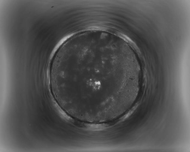 X0000085220796200703091158
