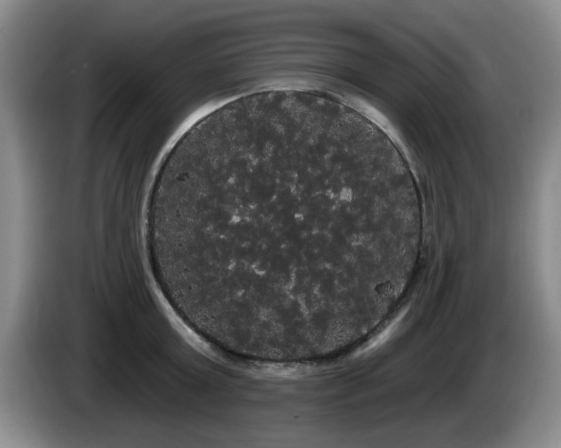 X0000085220803200703091158
