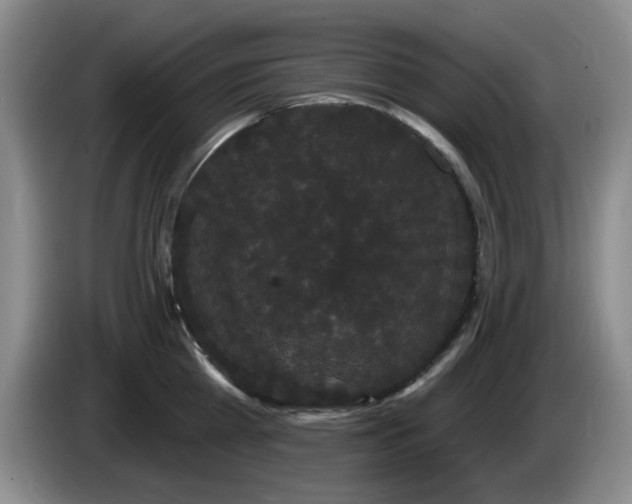 X0000085220809200703091158