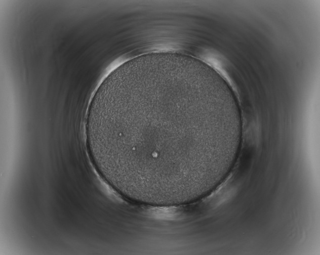 X0000085220810200703091158