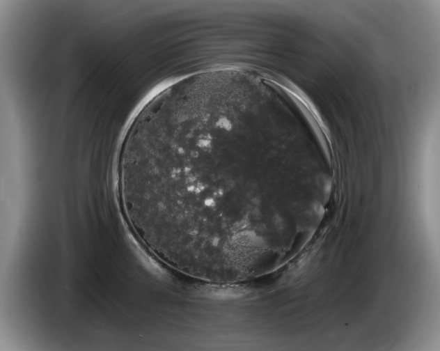 X0000085220811200703091158