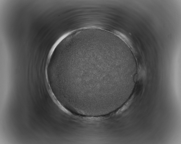 X0000085220812200703091158